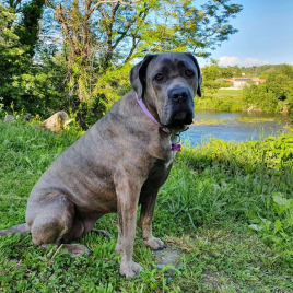 Ollie assise en bord de lac